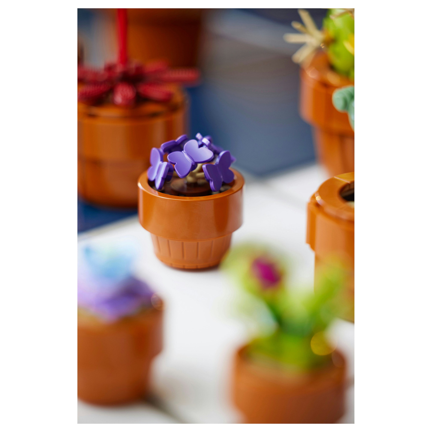 LEGO Icons Mini Pflanzen 10329 — Buy in Cyprus with Fast Delivery
