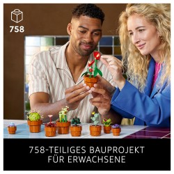 LEGO Icons Mini Pflanzen 10329 — Buy in Cyprus with Fast Delivery
