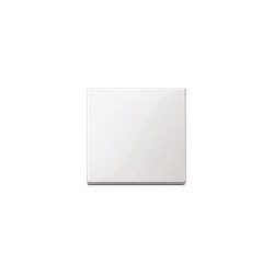 MERTEN 432119 Wippe für Schalter. Taster pws SYSTEM M — Buy in Cyprus with Fast Delivery