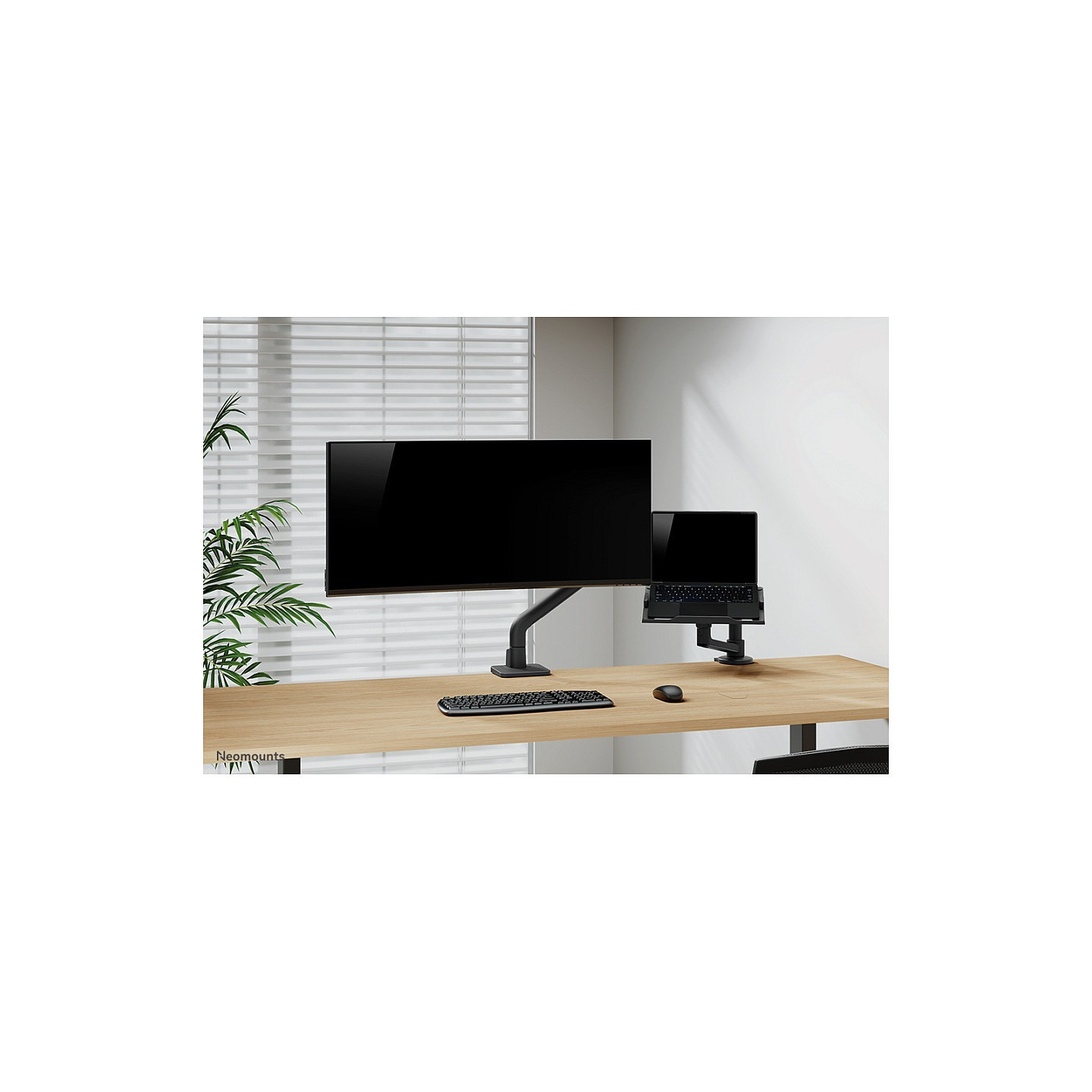 Neomounts DS20-425BL1 Tischhalterung für Laptops Gelenkarm (11.6' - 17.3') max 5kg - Schwarz