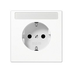 Jung LS1520KINAWW SCHUKO Steckdose m.Schriftfeld 16A 250V LS — Buy in Cyprus with Fast Delivery