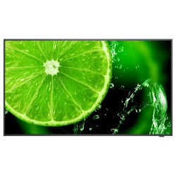 NEC 109.0cm (43') MS E438 16:9 3xHDMI+USB+VGA black — Buy in Cyprus with Fast Delivery