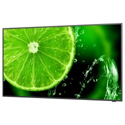 NEC 109.0cm (43') MS E438 16:9 3xHDMI+USB+VGA black — Buy in Cyprus with Fast Delivery
