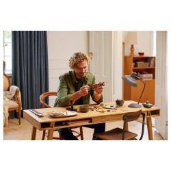 LEGO ICONS 10363 - Leonardo da Vincis Fluggerät — Buy in Cyprus with Fast Delivery