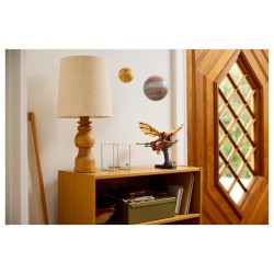 LEGO ICONS 10363 - Leonardo da Vincis Fluggerät — Buy in Cyprus with Fast Delivery