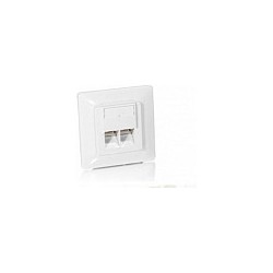 Equip Unterputzdose +Frontplatte 2xRJ45 Cat5e 45° RAL 1013 — Buy in Cyprus with Fast Delivery