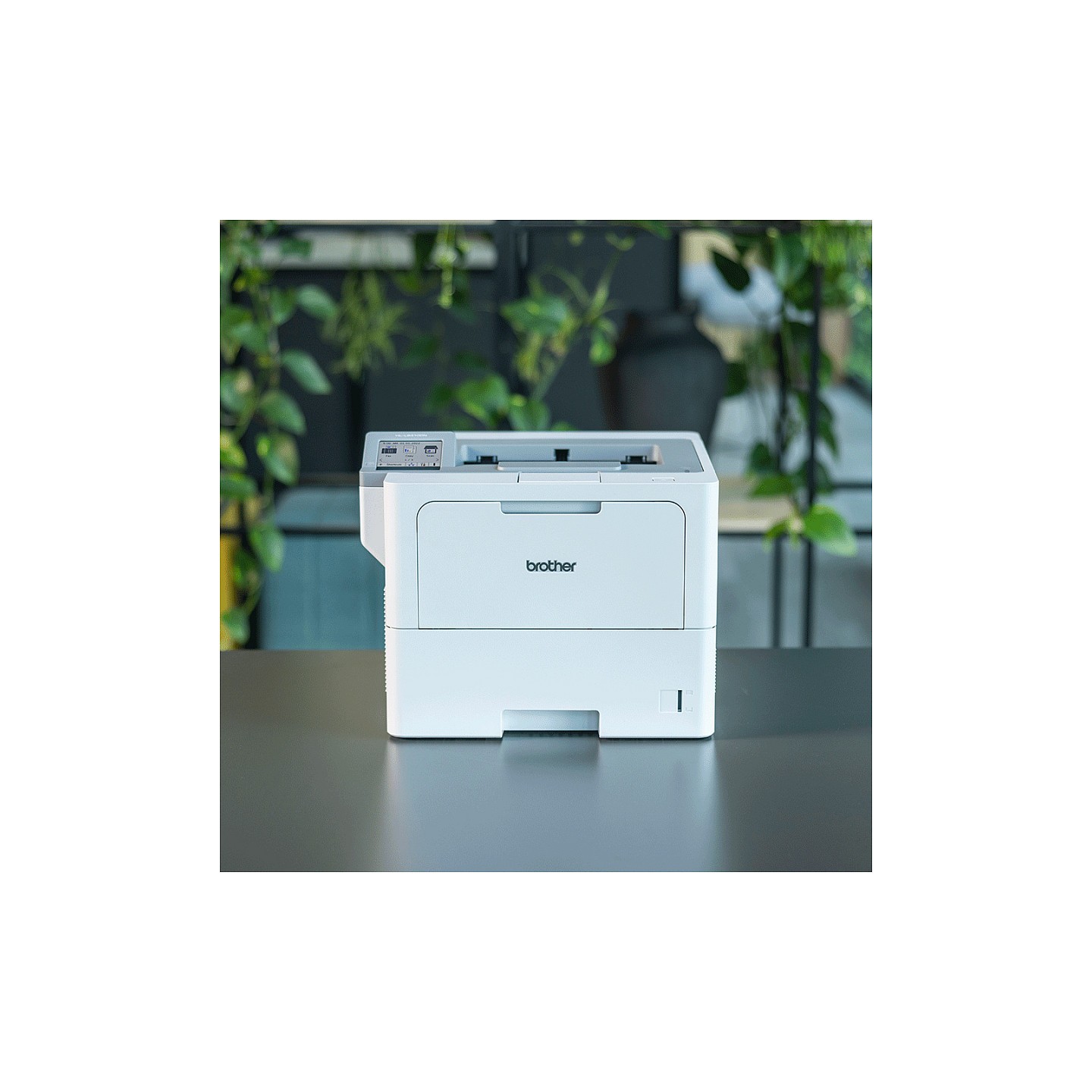 L Brother HL-L6415DN - Drucker - s w - Duplex — Buy in Cyprus with Fast Delivery