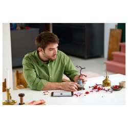 LEGO Icons - Pflaumenblüte — Buy in Cyprus with Fast Delivery