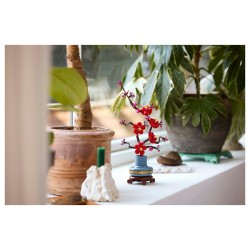 LEGO Icons - Pflaumenblüte — Buy in Cyprus with Fast Delivery