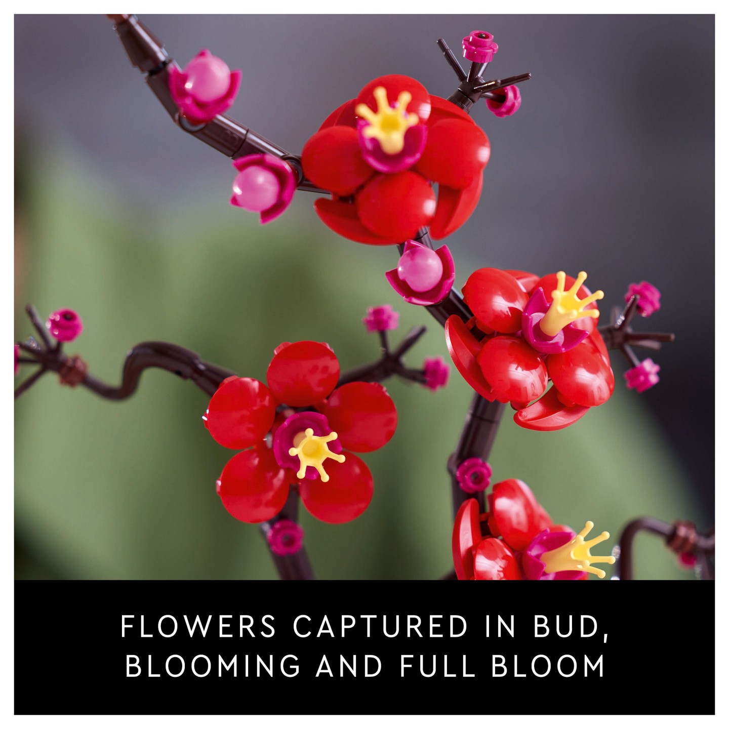 LEGO Icons - Pflaumenblüte — Buy in Cyprus with Fast Delivery