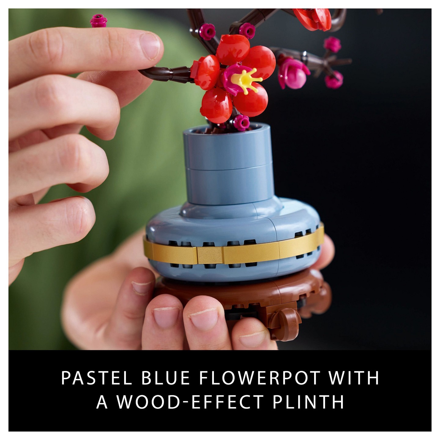 LEGO Icons - Pflaumenblüte — Buy in Cyprus with Fast Delivery