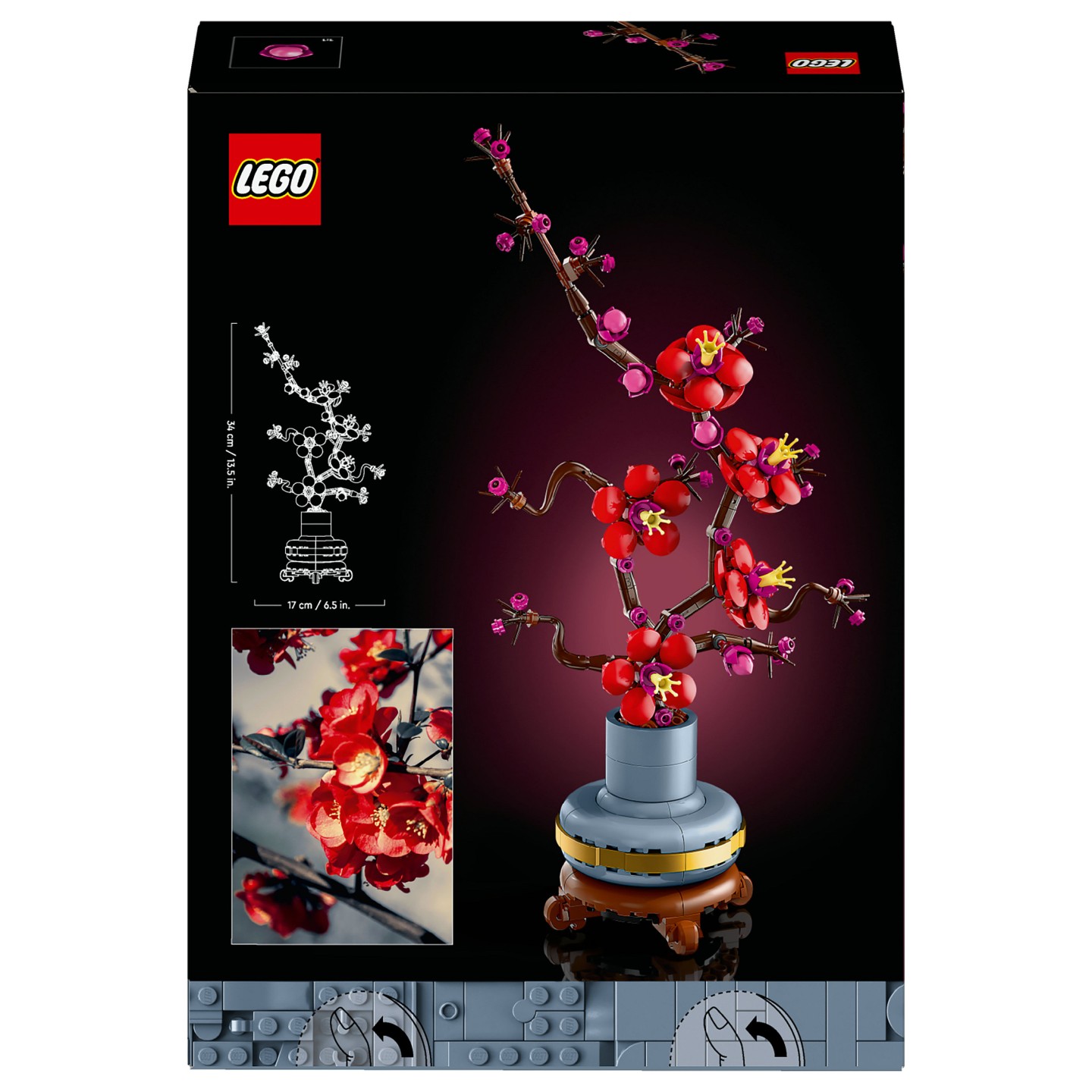 LEGO Icons - Pflaumenblüte — Buy in Cyprus with Fast Delivery