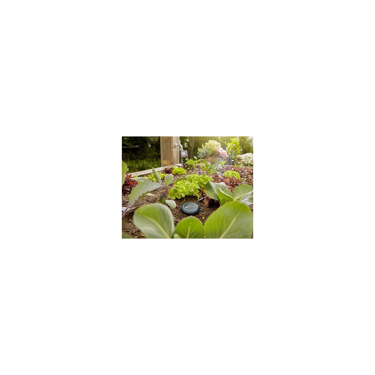 Gardena Bodenfeuchtesensor — Buy in Cyprus with Fast Delivery