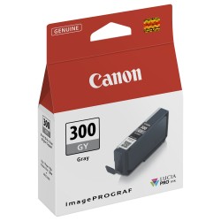 Canon PFI-300 GY - Grau - Original - Tintenbehälter — Buy in Cyprus with Fast Delivery