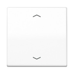 Jung AS101PWW Wippe f.Tasterpfeile — Buy in Cyprus with Fast Delivery
