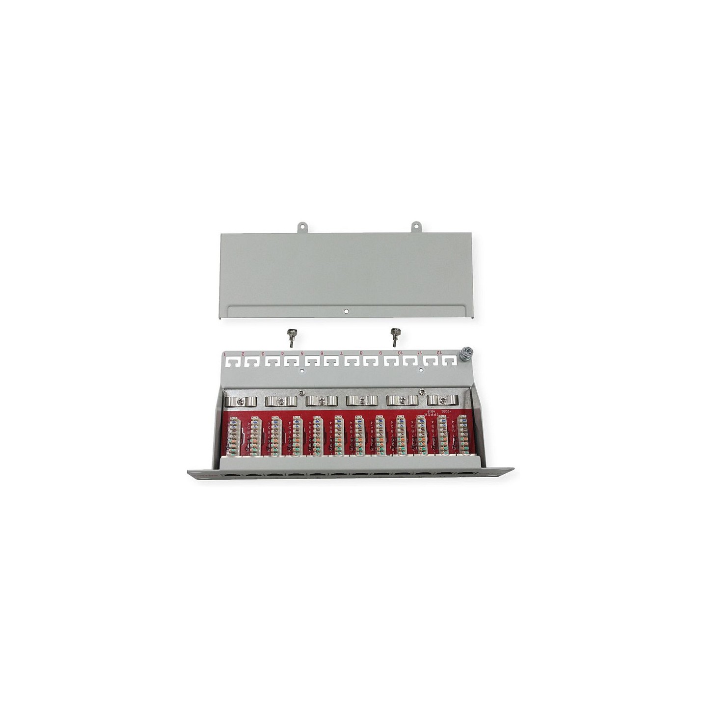 ROLINE 10-Zoll Patchpanel 12 Ports. Cat.6A (Class EA). geschirmt — Buy in Cyprus with Fast Delivery