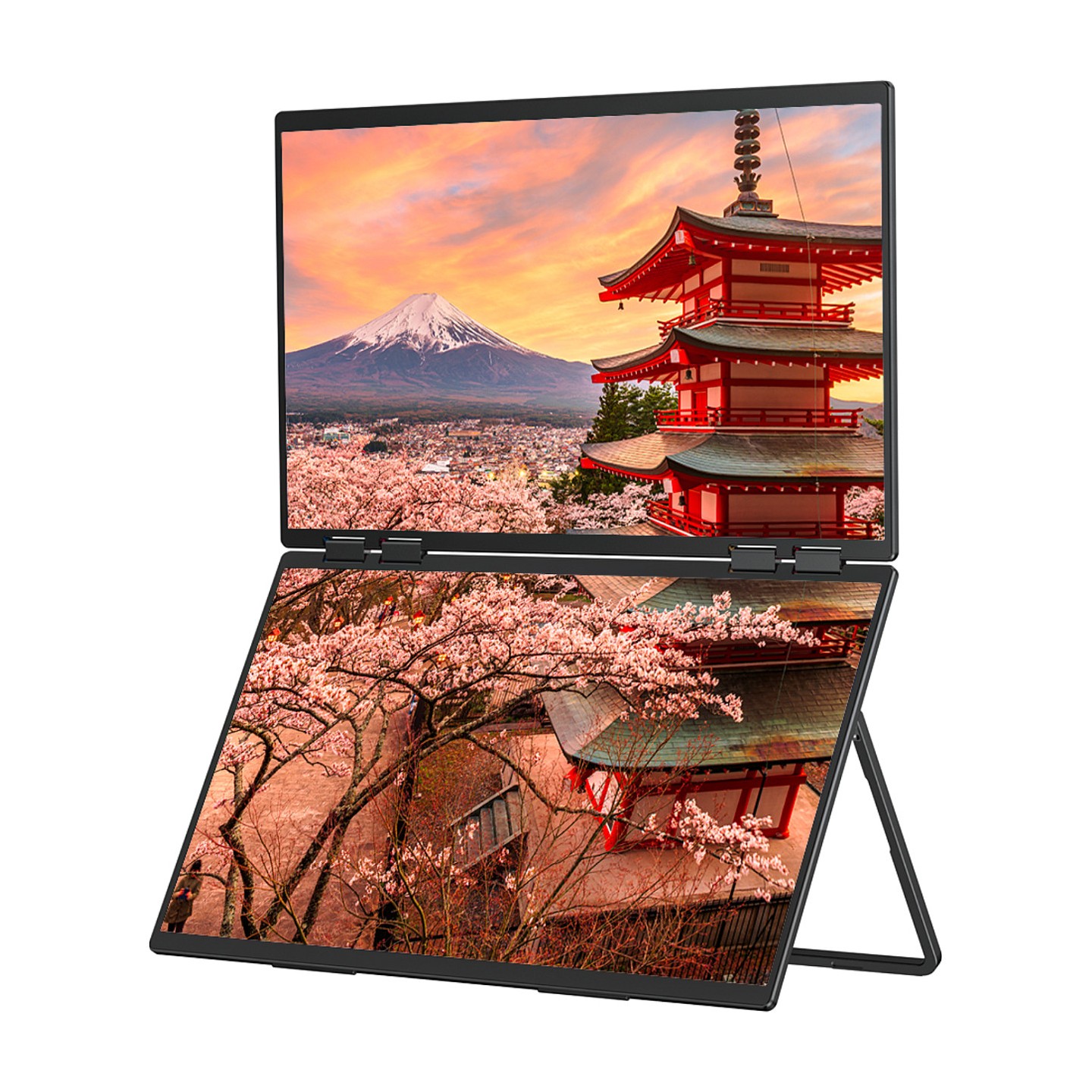 JapanNext FHD Doppelmonitor 60.45cm (23.8') — Buy in Cyprus with Fast Delivery