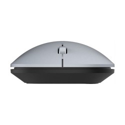 Wortmann TERRA Mouse NBM1000S wireless BT silber — Buy in Cyprus with Fast Delivery