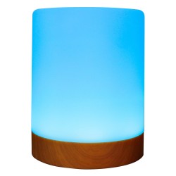 RealPower Ambiente Light 200.RGB mit Fernbedienung — Buy in Cyprus with Fast Delivery