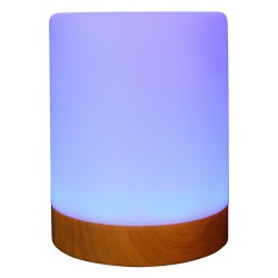 RealPower Ambiente Light 200.RGB mit Fernbedienung — Buy in Cyprus with Fast Delivery
