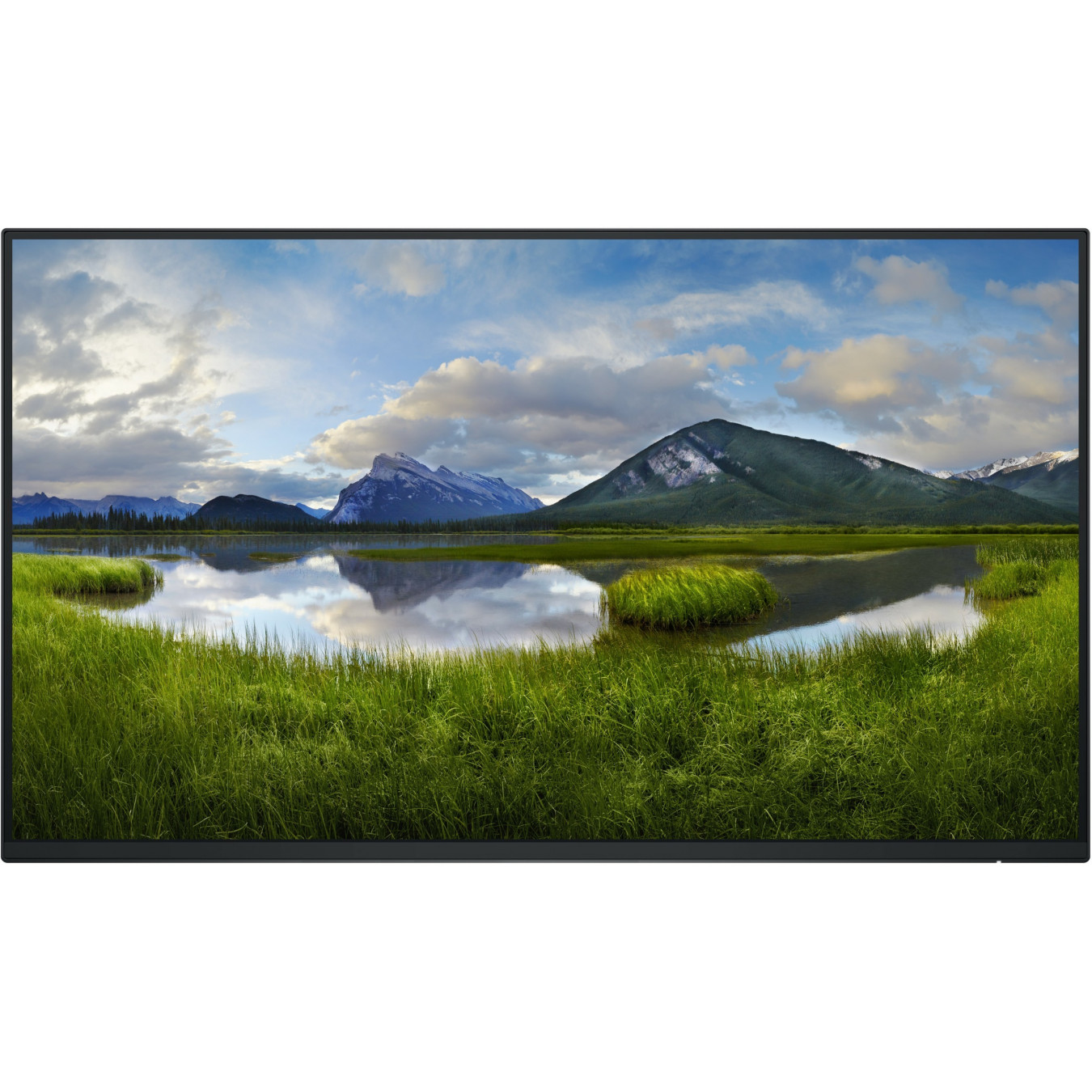 Dell P2425H - 23.8" FHD IPS Monitor (1920x1080) - 100Hz, 5ms, HDMI/DP/VGA/USB-C, Black (No Stand)
