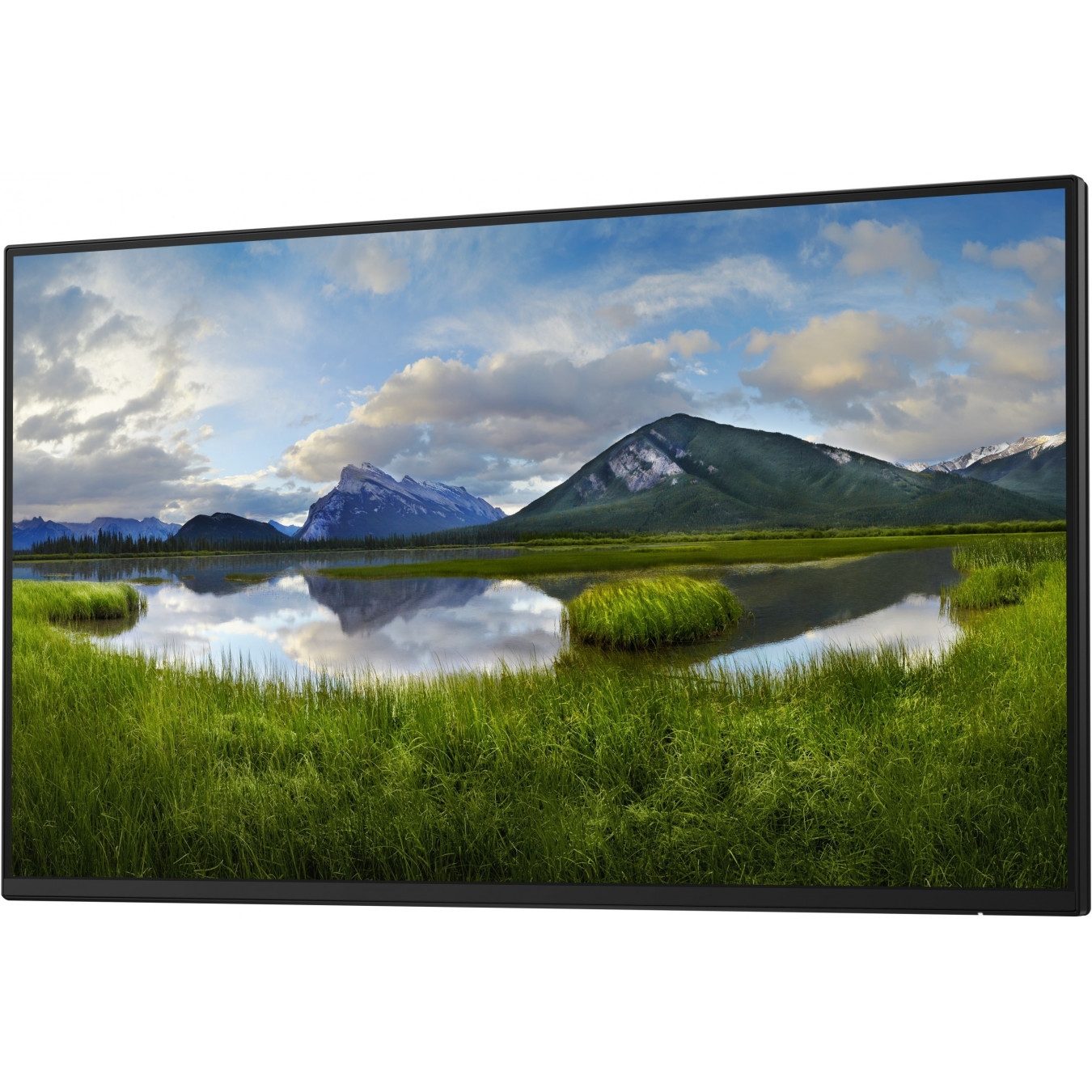 Dell P2425H - 23.8" FHD IPS Monitor (1920x1080) - 100Hz, 5ms, HDMI/DP/VGA/USB-C, Black (No Stand)