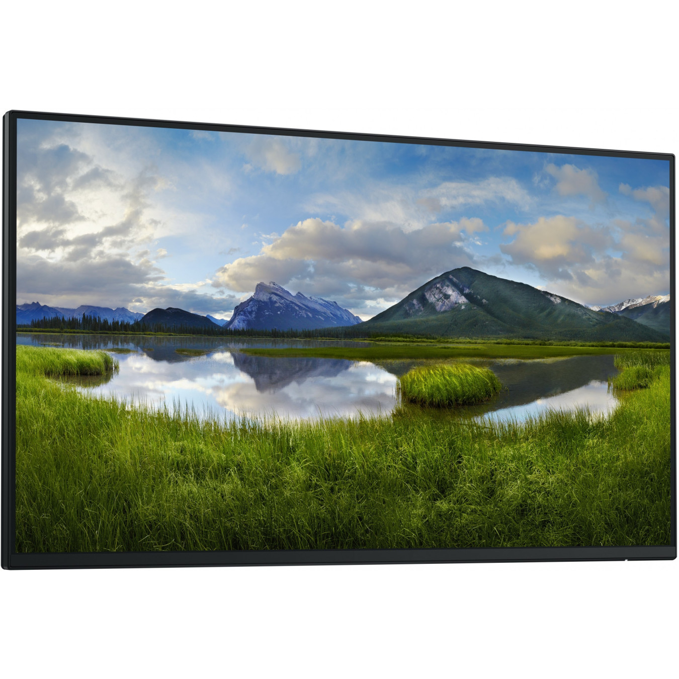 Dell P2425H - 23.8" FHD IPS Monitor (1920x1080) - 100Hz, 5ms, HDMI/DP/VGA/USB-C, Black (No Stand)