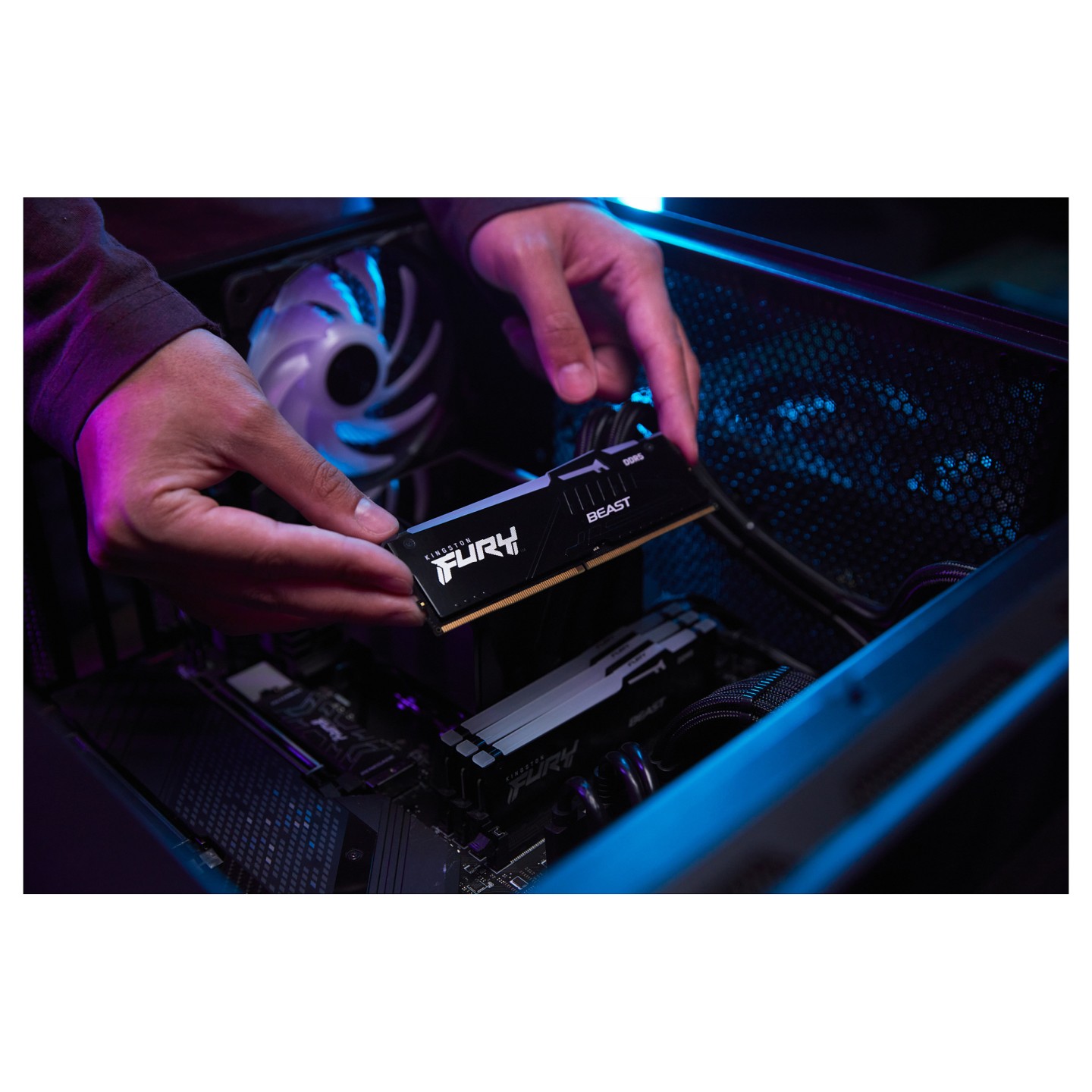 64GB 5600MT S CL36 DIMM — Buy in Cyprus with Fast Delivery