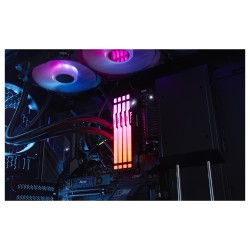 64GB 5600MT S CL36 DIMM — Buy in Cyprus with Fast Delivery
