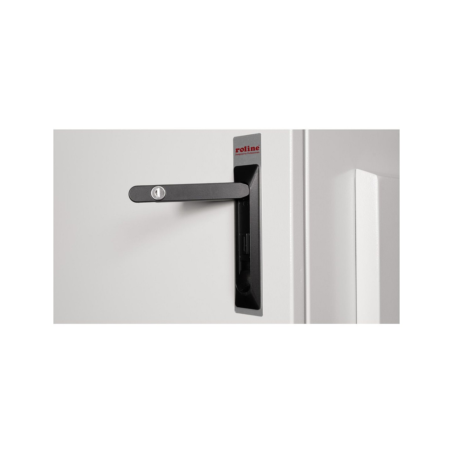ROLINE 19-Zoll Wandgehuse Pro 7 HE. 600x450 BxT IP55 outdoor grau — Buy in Cyprus with Fast Delivery