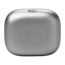 JBL LIVE FLEX3 silver — Buy in Cyprus with Fast Delivery