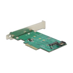 DeLOCK M.2 SATA auf PCIe 3.0 x4 - Schni — Buy in Cyprus with Fast Delivery
