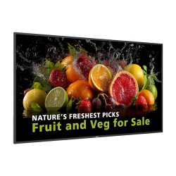 Philips 65BDL5050D Digital Signage Display 164 cm 65 Zoll — Buy in Cyprus with Fast Delivery