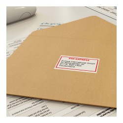 Brother DK22251 Endlosetiketten (Papier) - schwarz-rot auf weiß. 62mm x 15.24 m — Buy in Cyprus with Fast Delivery