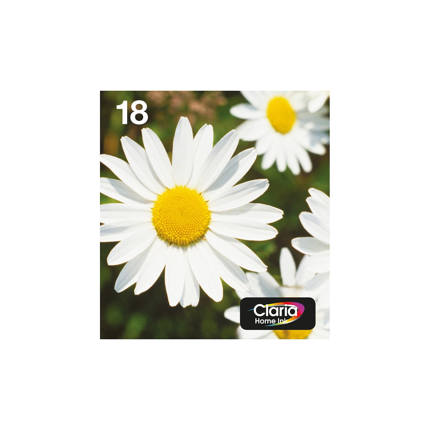 Epson Original Easy Mail Packing 18 Gänseblümchen Druckerpatronen - 4er Multipack (C13T18064511)