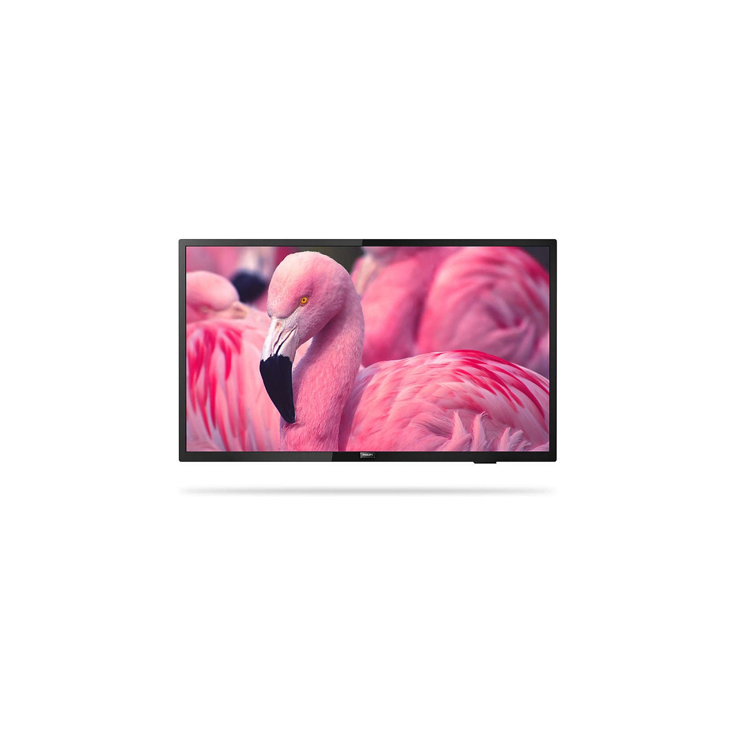 PHILIPS Hotel TV 43HFL4014 12 108.0cm(43') PrimeSuite — Buy in Cyprus with Fast Delivery