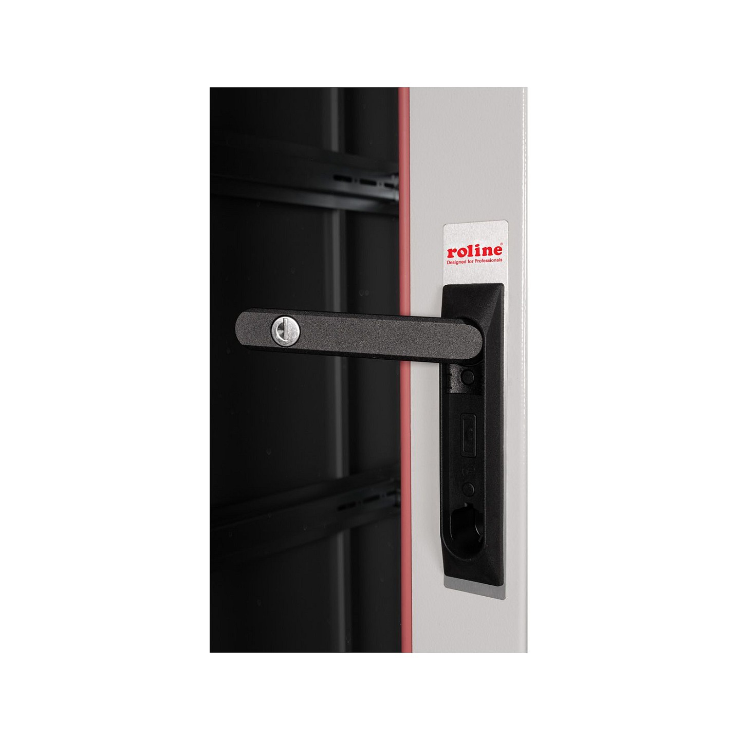 ROLINE 19-Zoll Netzwerkschrank Pro 42 HE. 800x1000 BxT Glastr grau — Buy in Cyprus with Fast Delivery