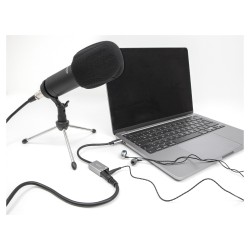 DELOCK Externe USB Soundkarte mit Type-C Stecker auf 2 x 3.5mm Klinkenbuchse Plug & Play Audio Adapter