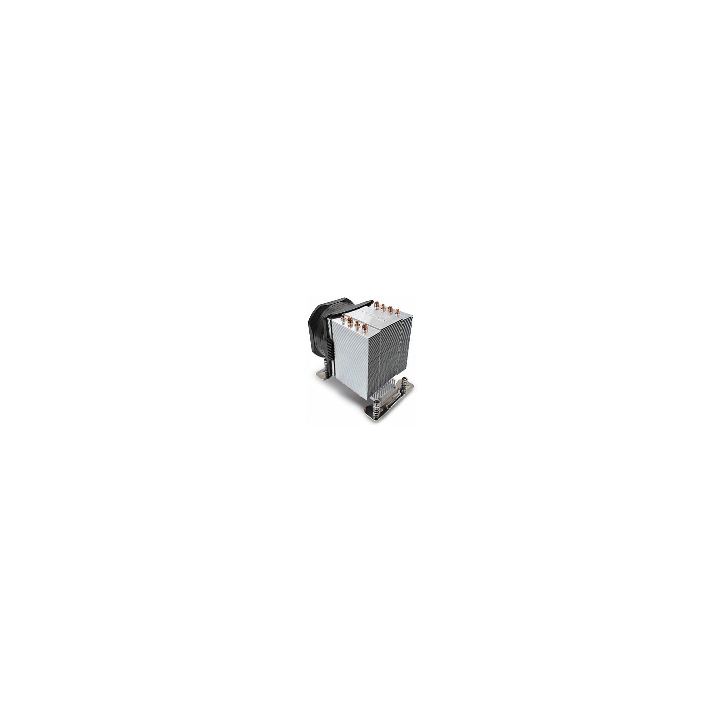 K DYNATRON A55 AMD SP6 TR5 3U Aktiv — Buy in Cyprus with Fast Delivery