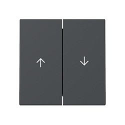 GIRA 329428 Wippe 2f Pfeil System 55 Anthrazit — Buy in Cyprus with Fast Delivery