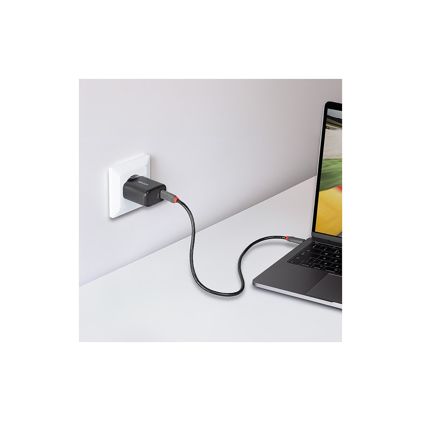 LINDY USB-C Ladegerät 2-Port GaN Charger 65W. schwarz — Buy in Cyprus with Fast Delivery