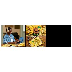 LEGO 31215 Art Vincent van Gogh - Sonnenblumen — Buy in Cyprus with Fast Delivery
