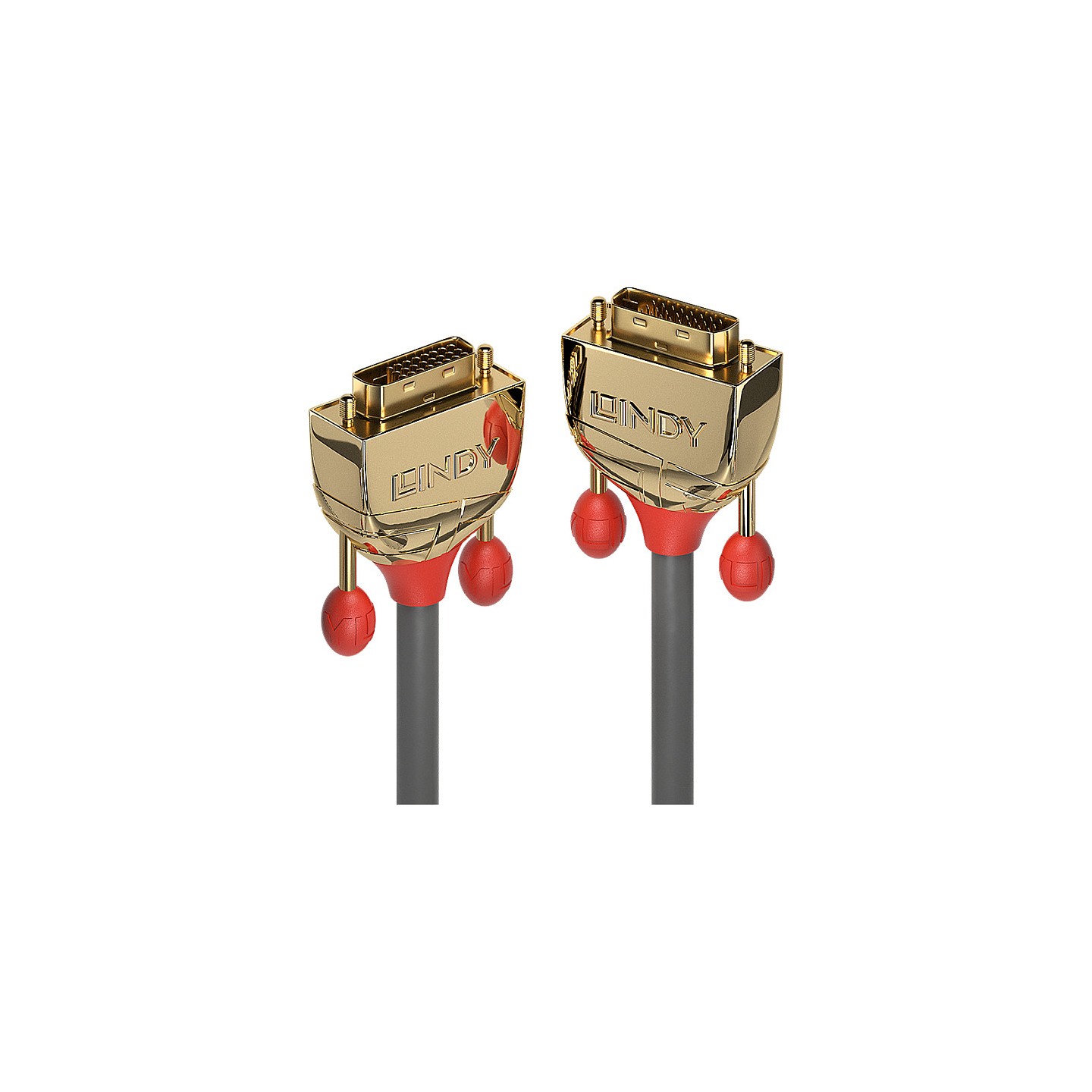 LINDY DVI-D Dual Link Kabel Gold Line 0.5m — Buy in Cyprus with Fast Delivery