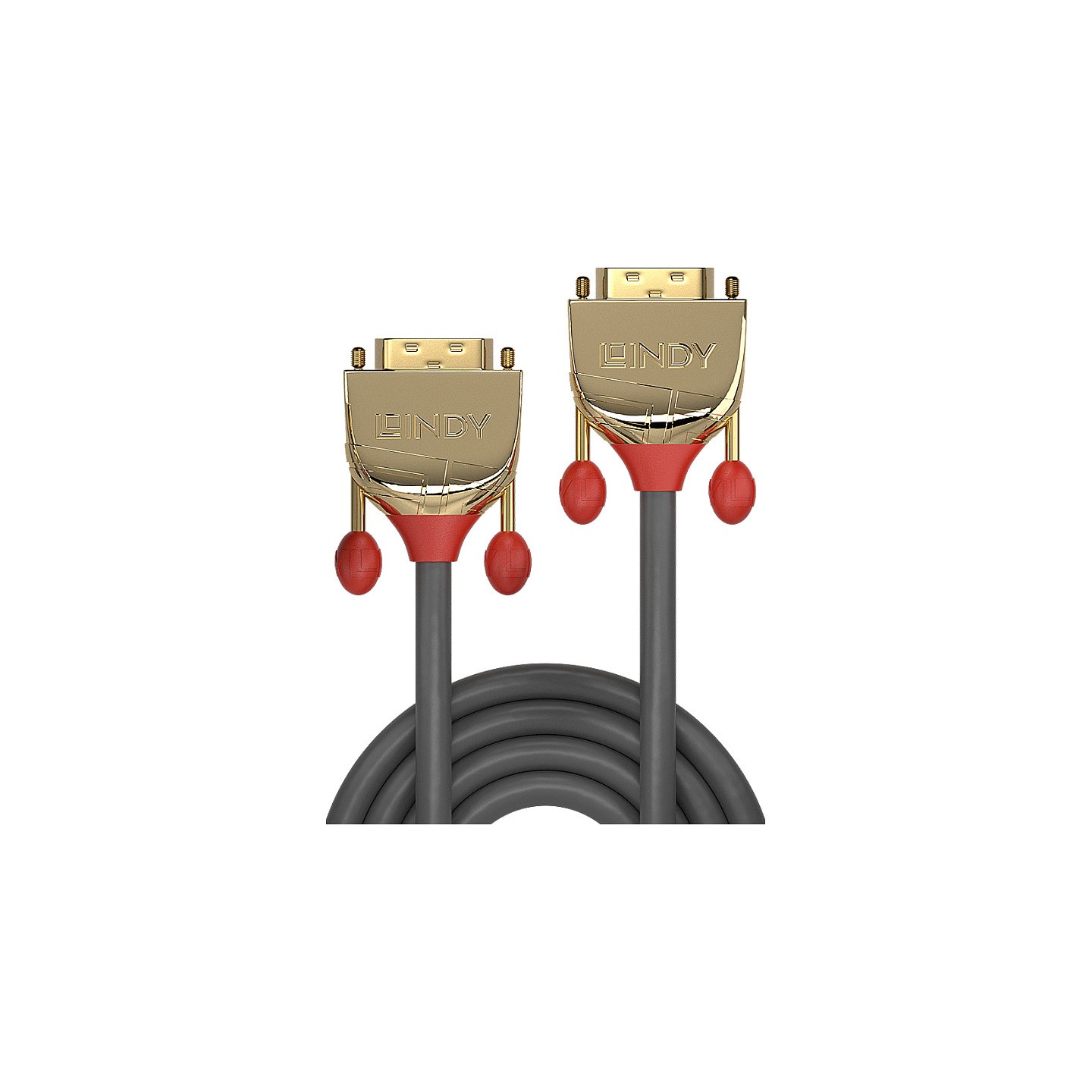 LINDY DVI-D Dual Link Kabel Gold Line 0.5m — Buy in Cyprus with Fast Delivery