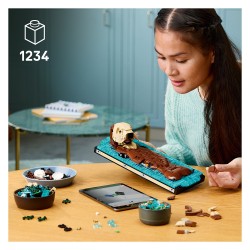 LEGO 21366 Ideas Schwimmende Otter — Buy in Cyprus with Fast Delivery