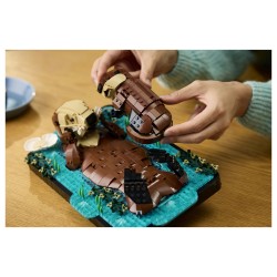LEGO 21366 Ideas Schwimmende Otter — Buy in Cyprus with Fast Delivery