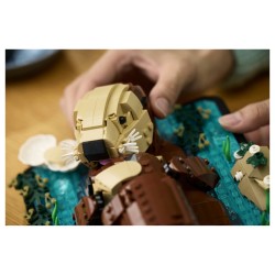 LEGO 21366 Ideas Schwimmende Otter — Buy in Cyprus with Fast Delivery