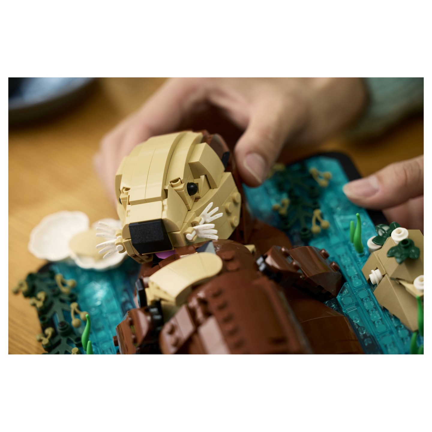 LEGO 21366 Ideas Schwimmende Otter — Buy in Cyprus with Fast Delivery