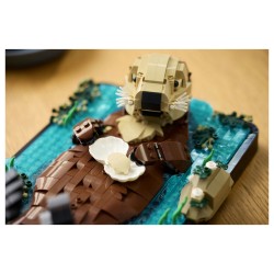 LEGO 21366 Ideas Schwimmende Otter — Buy in Cyprus with Fast Delivery