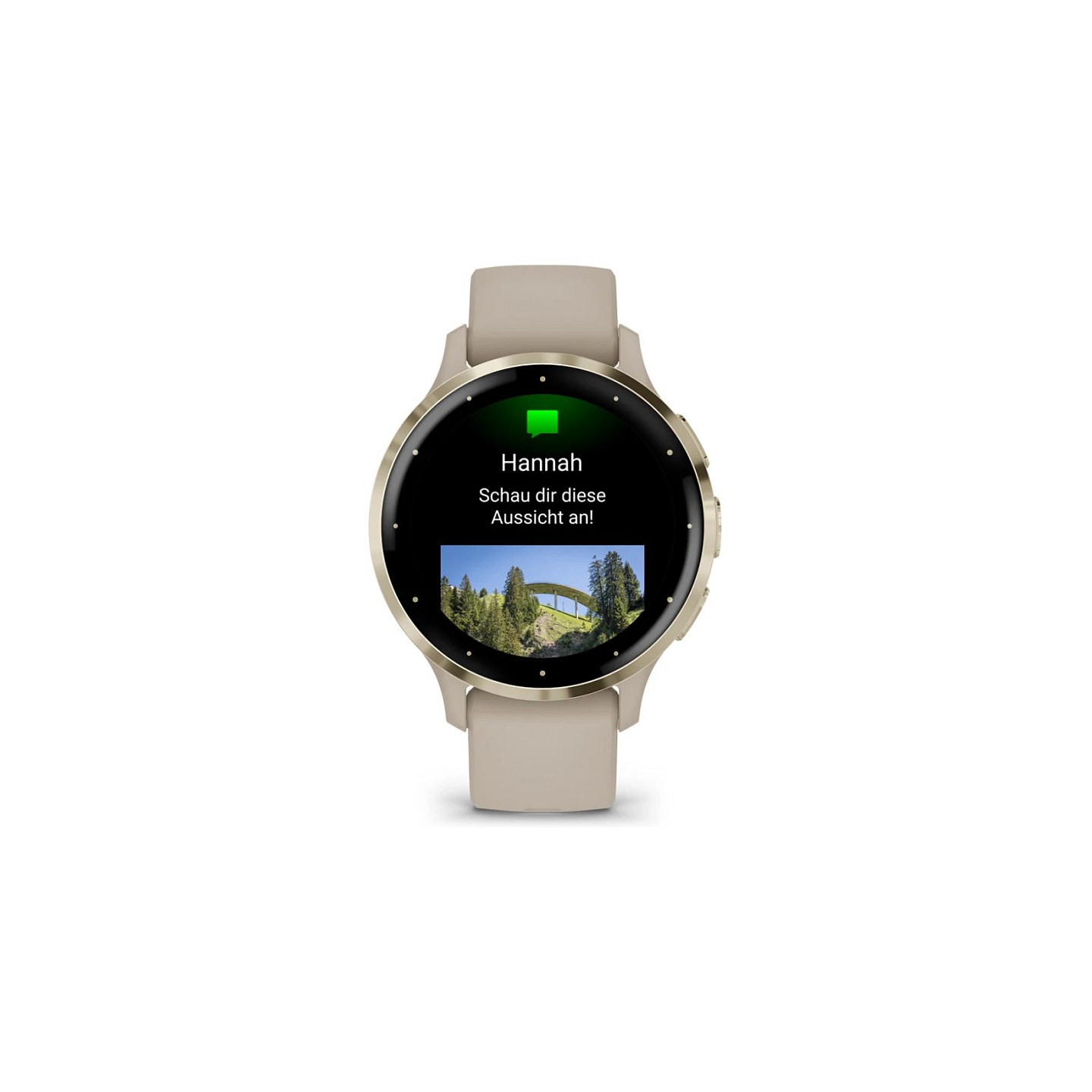 Garmin Venu 3S french gray softgold — Buy in Cyprus with Fast Delivery